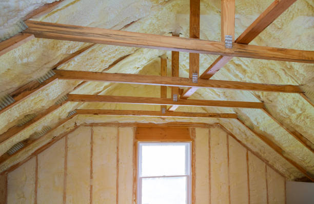 Best Insulation Contractors for Homes  in Alvin, TX