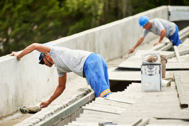 Best Insulation Removal  in Alvin, TX