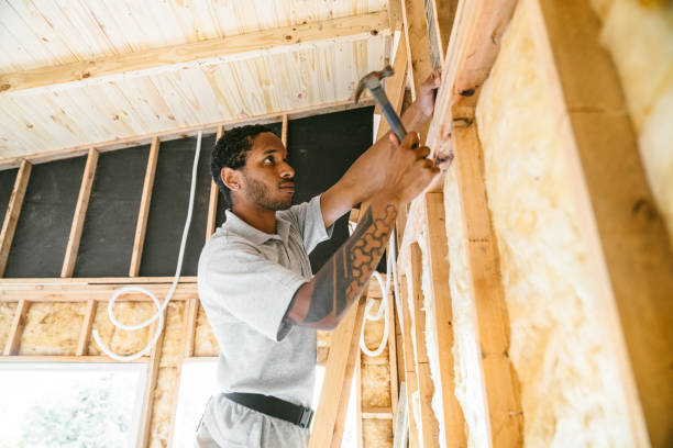Best Insulation Replacement Services  in Alvin, TX
