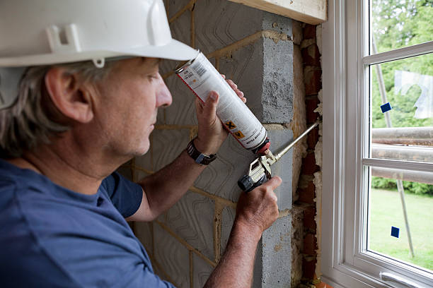 Best Energy-efficient Insulation  in Alvin, TX