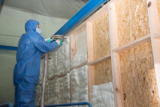 Best Attic Insulation Installation  in Alvin, TX