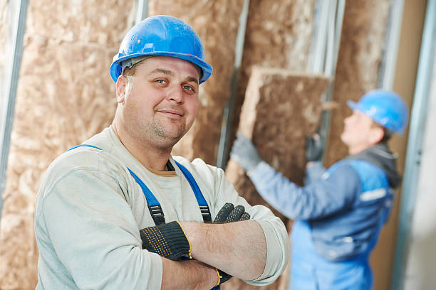 Best Professional Insulation Contractor  in Alvin, TX