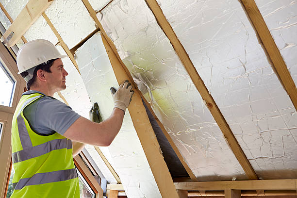 Best Fiberglass Insulation  in Alvin, TX