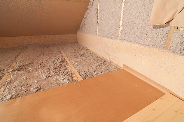 Best Home Insulation Services  in Alvin, TX