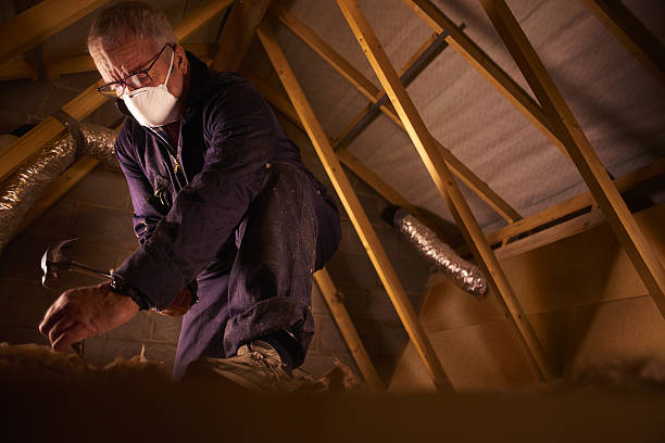 Best Spray Foam Insulation  in Alvin, TX